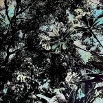 tree-spirit-ต่างกันแต่กลมกลืน-01